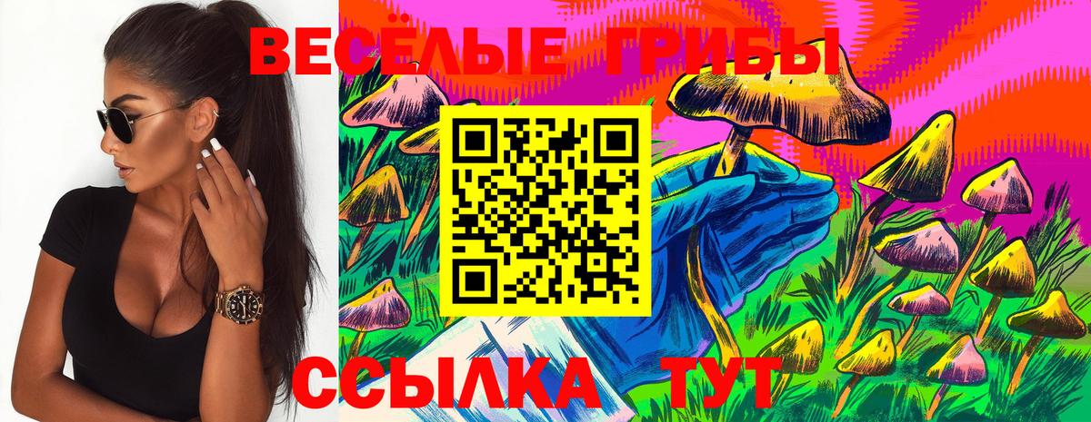 Галлюциногенные грибы прущие грибы Сергиев Посад